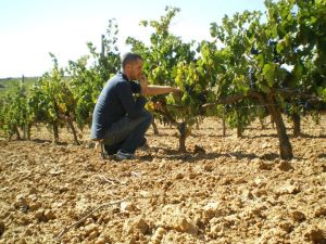 Alsono del Yerro winemaker Lionel Gourgue